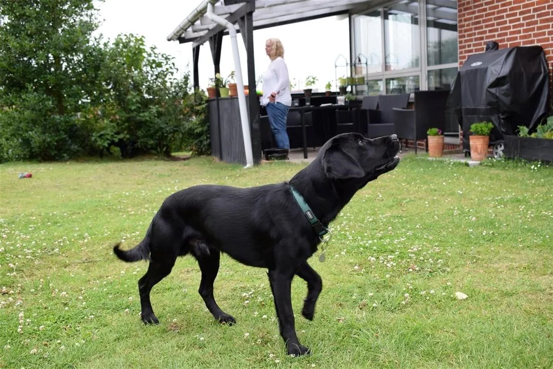 G22.3 last day with mette ian oscar otis assens (7)